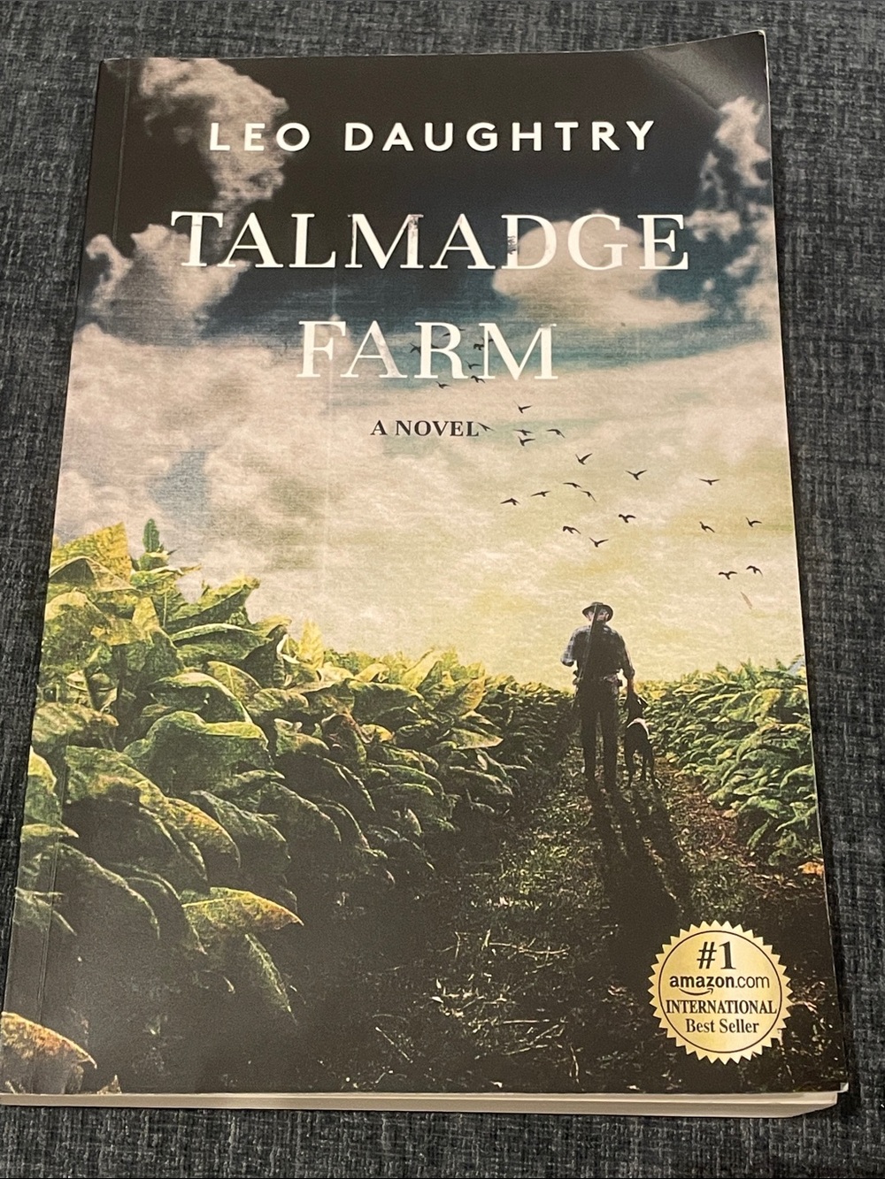 “Talmadge Farm” by Leo Daughtry paperback novel
